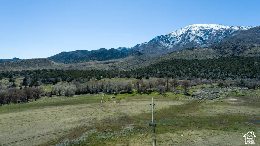 Expansive natural landscape with varied terrain and distant snow-capped mountains