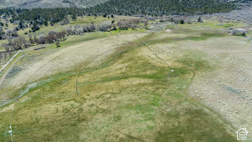Expansive open land featuring natural grass and varied vegetation