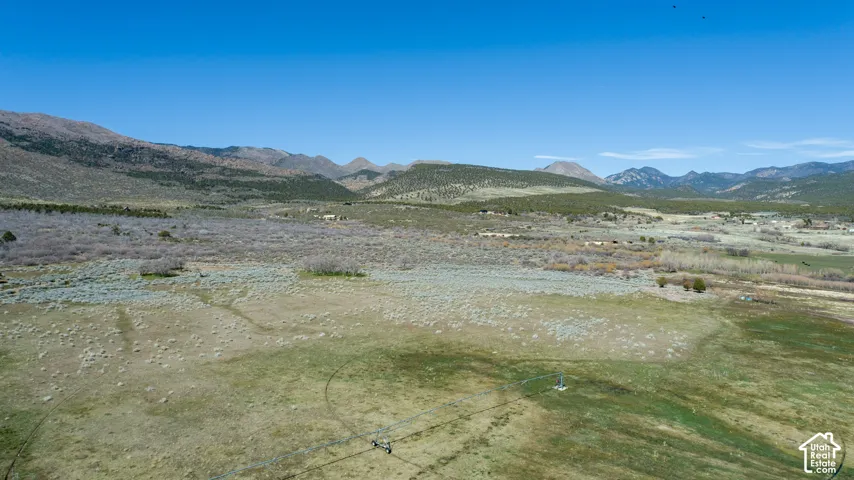 Expansive land featuring natural grasses and distant mountains