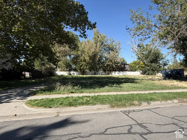 Grassy lot featuring mature trees and a paved street