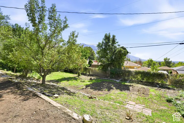 Expansive terraced yard featuring established trees, partial grass coverage, and a paved walkway