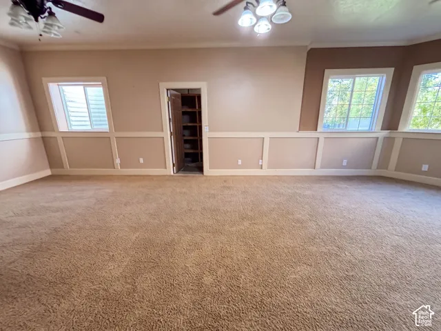 Spacious room featuring neutral carpeting, chair rail molding, multiple windows, and a built-in storage closet with shelving