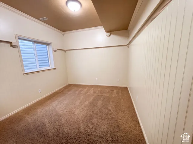 Window with horizontal blinds, textured carpet flooring, vertical wall paneling, crown molding, and a flush mount ceiling light fixture