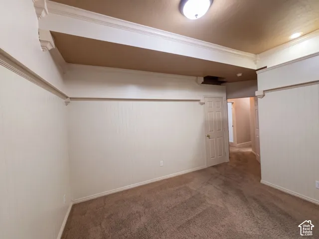 Wall paneling with top trim, carpeted flooring, and a flush-mount ceiling light