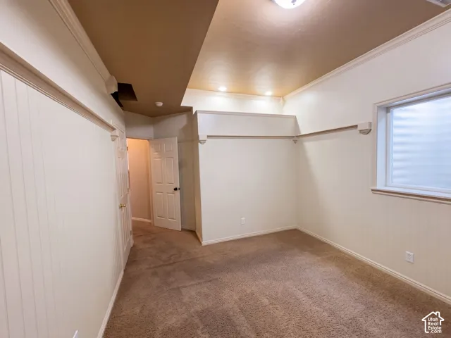 Textured carpet flooring, window with frosted glass, crown molding, and wainscoting