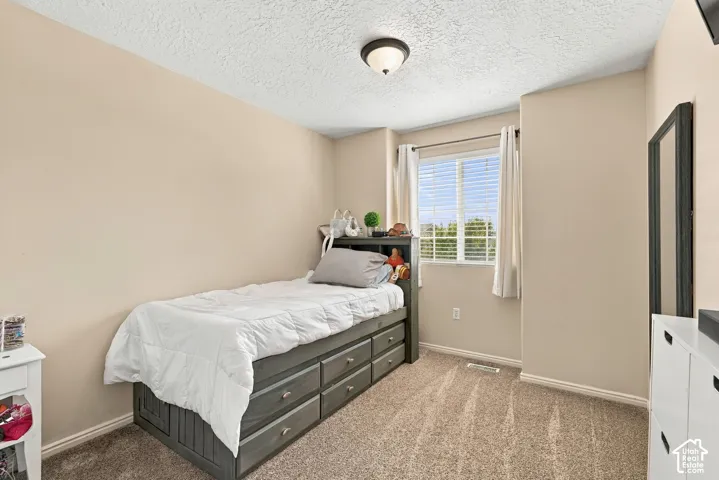 Bright secondary bedroom featuring carpet flooring, a storage bed with multiple drawers, built-in shelving above the headboard, and glass sliding doors opening to natural light