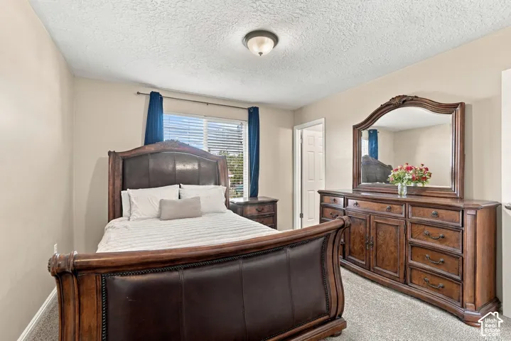 Carpeted flooring, window with blinds, and ceiling-mounted light fixture