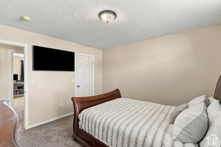 Carpeted flooring with painted walls and a flush-mount ceiling light