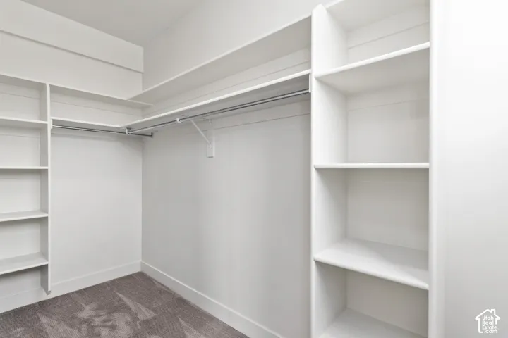 White built-in shelving, white walls, and gray carpet flooring