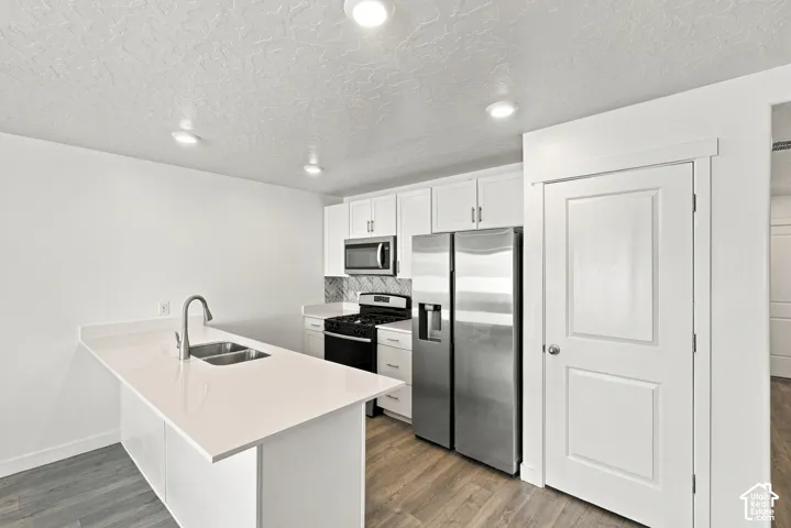 Modern kitchen featuring white cabinetry, stainless steel appliances, a dual-basin sink, and wood-finish flooring