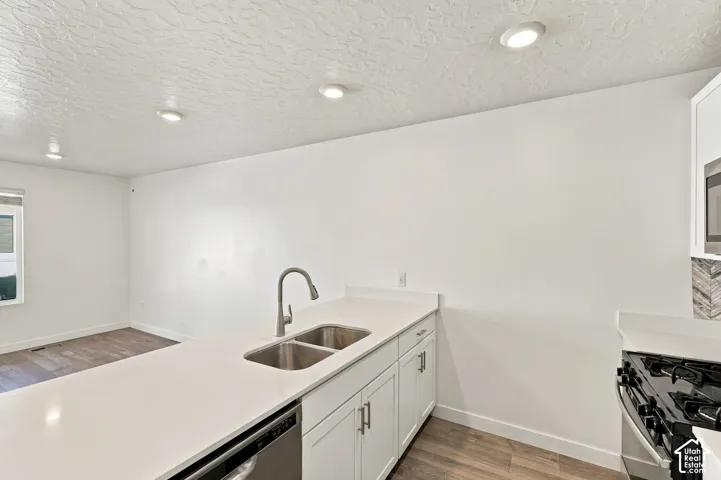 Kitchen featuring recessed lighting, white cabinetry, a double basin stainless steel sink, a stainless steel dishwasher, and a gas range