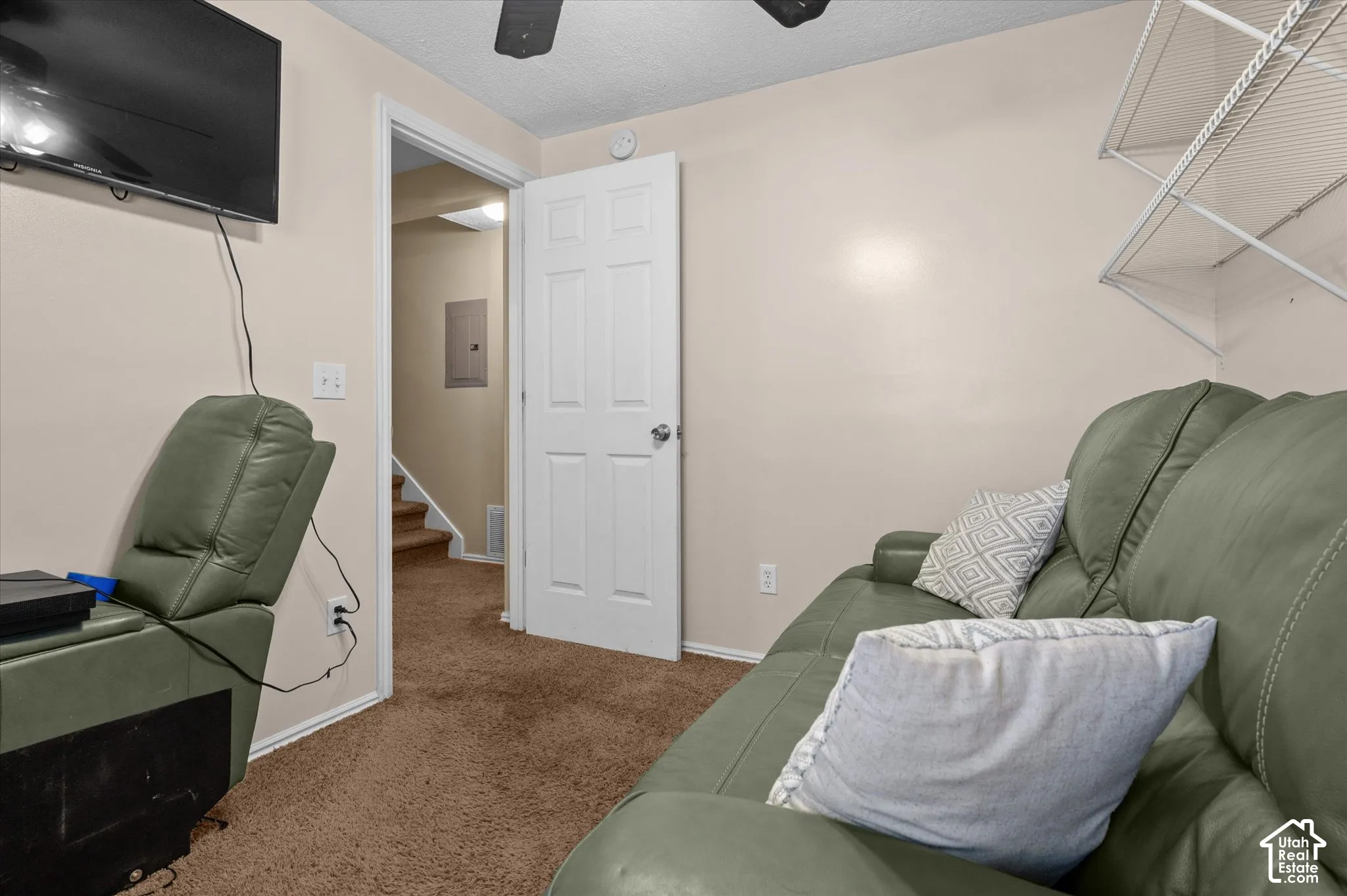 Wall-mounted television, white interior door, wire shelving, and carpeted flooring