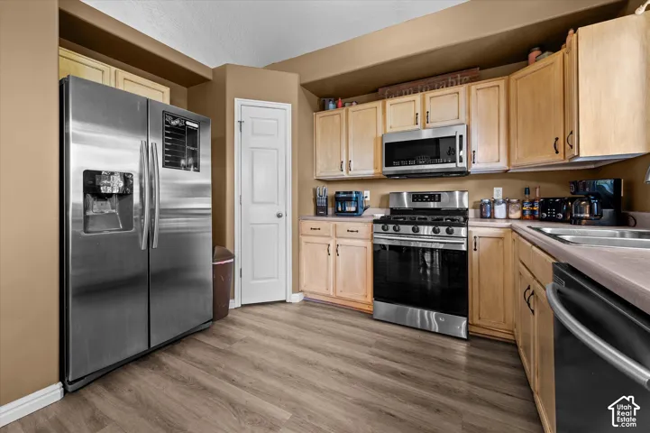 Wood-finish flooring, stainless steel appliances, light wood cabinetry, and a double-basin sink