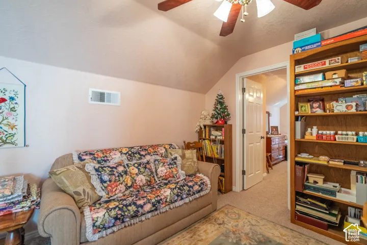 Loft Area