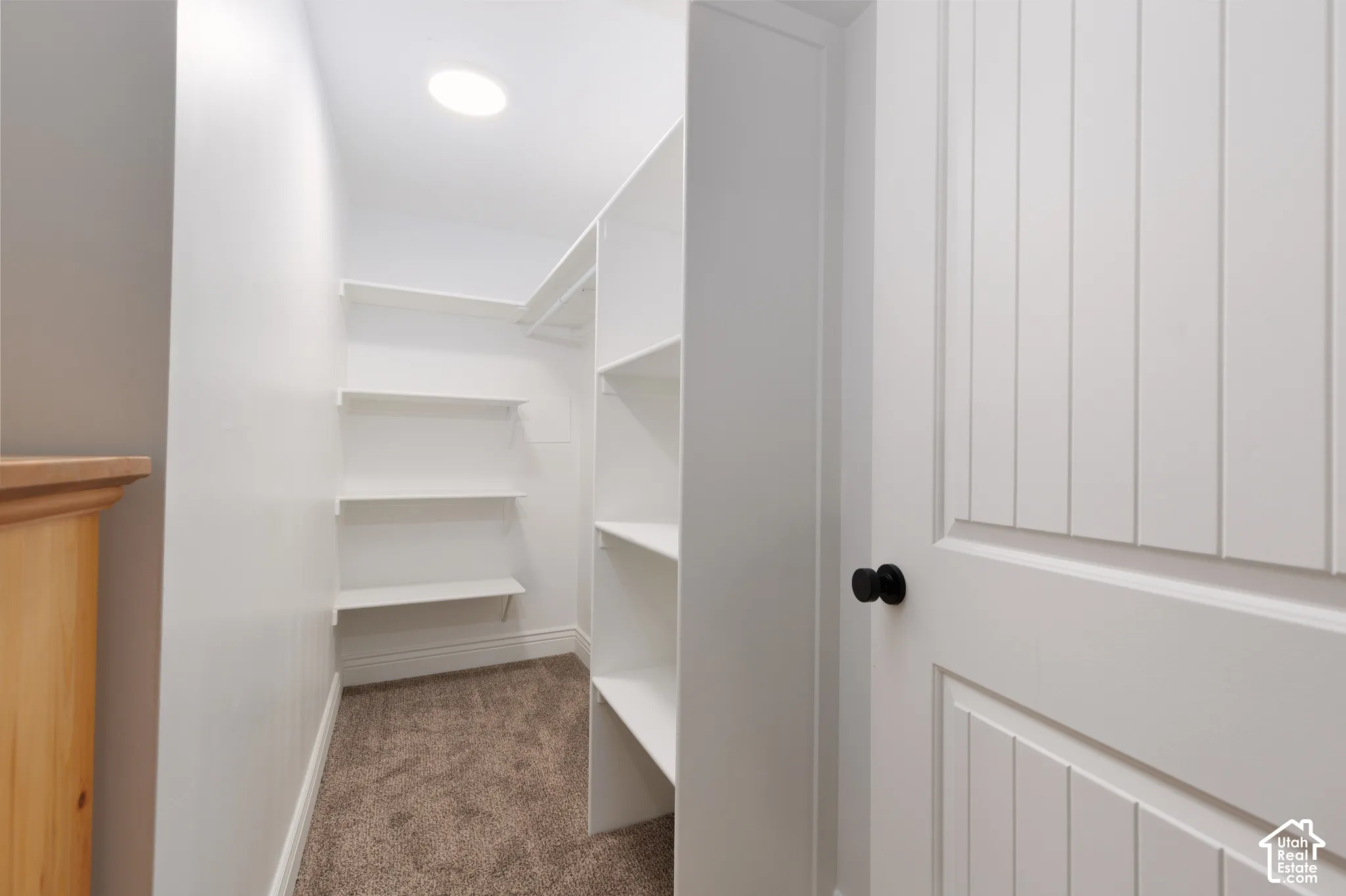 Walk-in closet featuring white built-in shelving, recessed lighting, and carpet flooring
