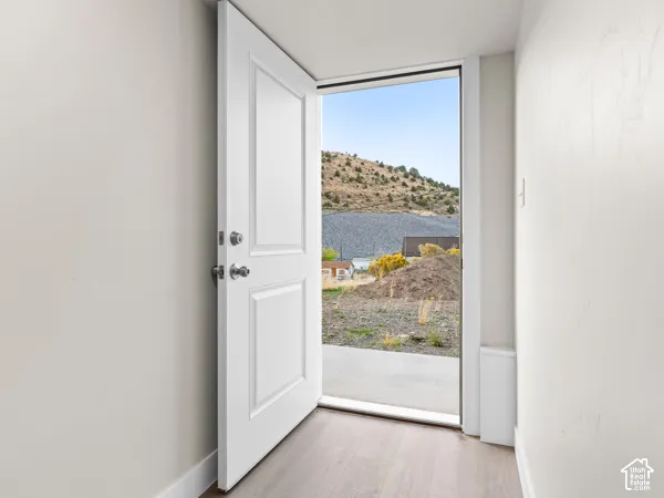 White paneled door with metal hardware, wood-finish flooring, and light neutral wall finish