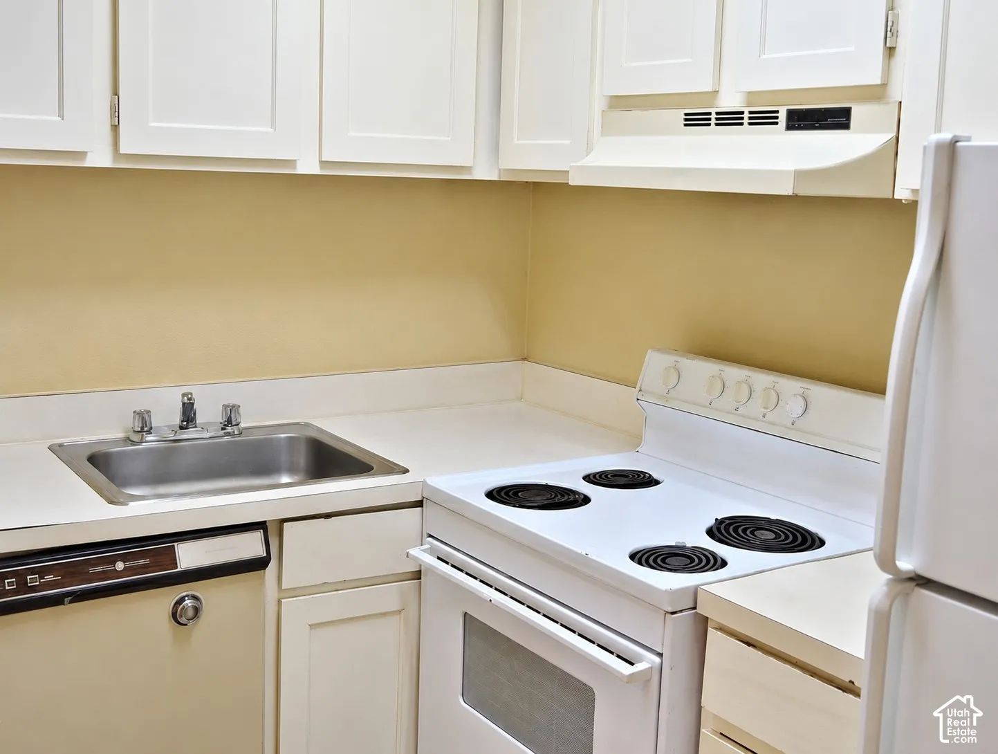 Kitchen sink, dishwasher and range
