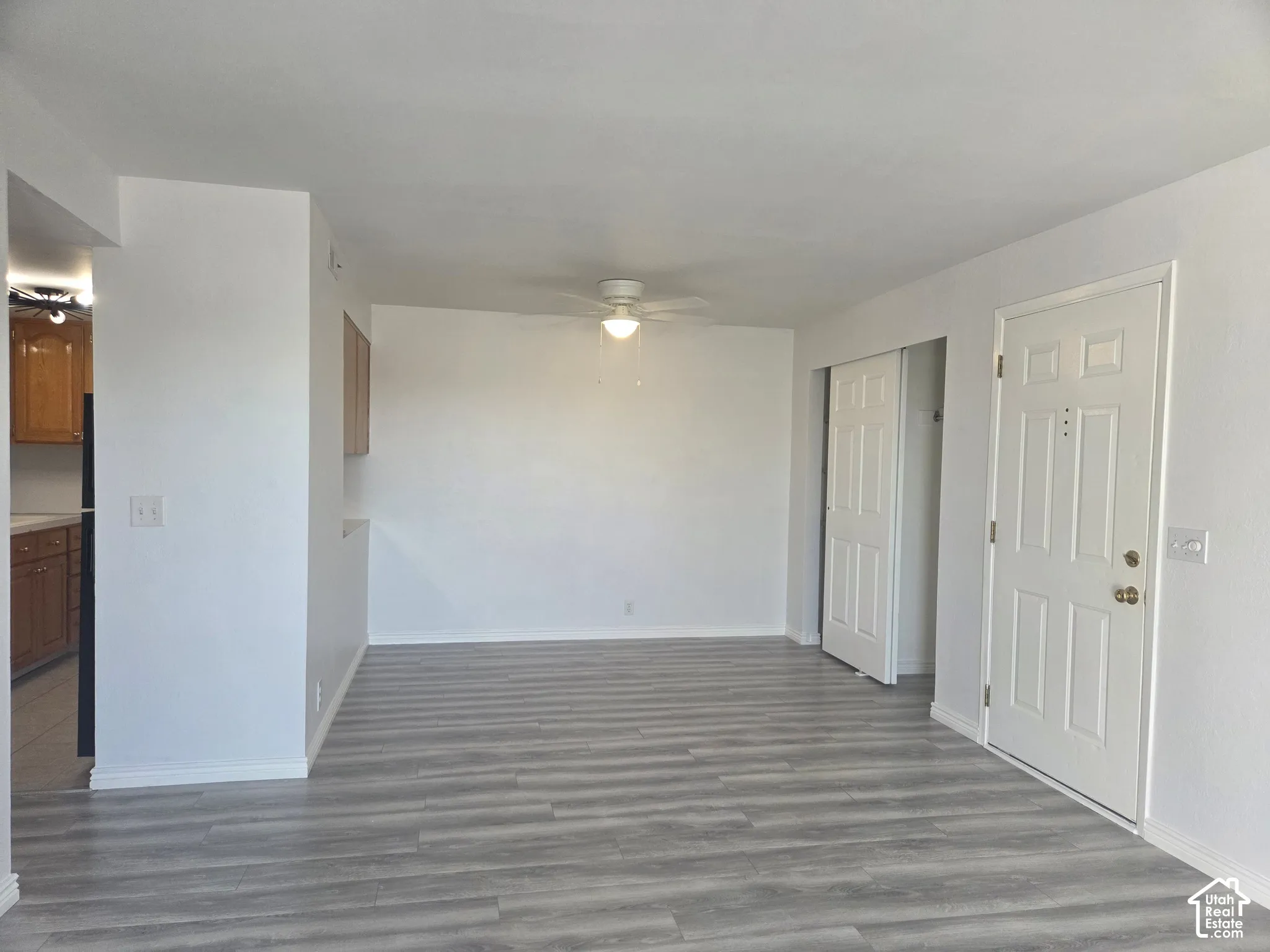 LVP flooring, ceiling fan, white paneled doors, and a built-in kitchen pass-through