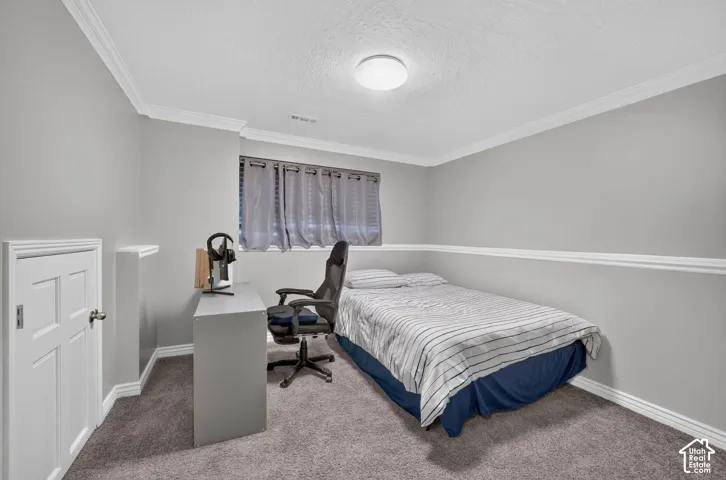 Gray wall paint, white crown molding, gray carpeting, white trim, and a window with gray drapes