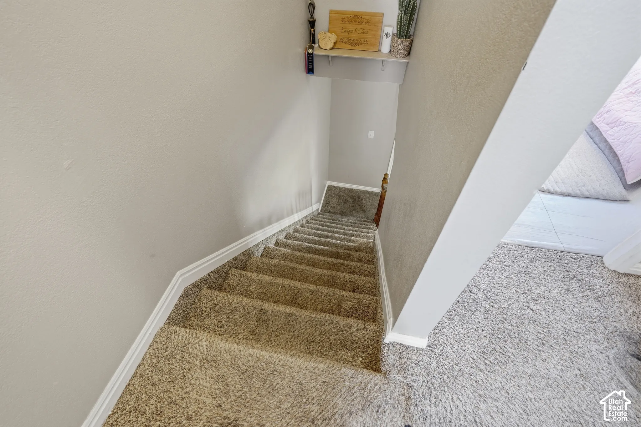 Carpeted staircase with white risers and a wood handrail