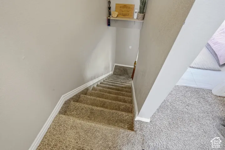 Carpeted staircase with white risers and a wood handrail