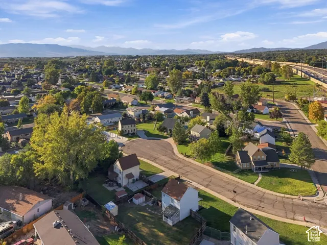 Residential street with mountain backdrop and established tree cover
