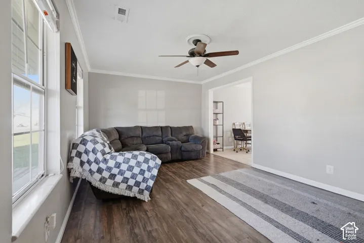 Wood-finish flooring, crown molding, ceiling fan, and painted walls