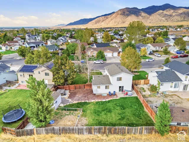 Spacious backyard with a large lawn area, wood privacy fencing, and mature trees