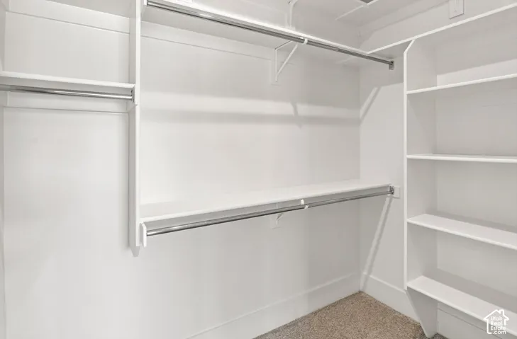 Built-in white shelving, multiple chrome hanging rods, and carpet flooring