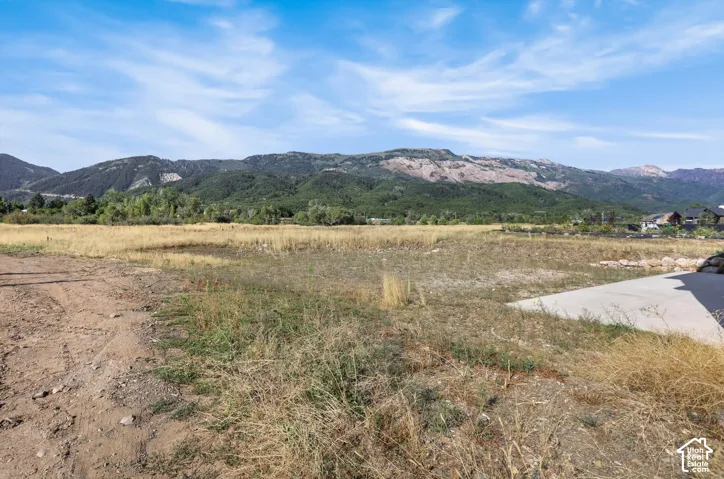 Expansive undeveloped lot featuring a partial concrete slab, and natural ground cover