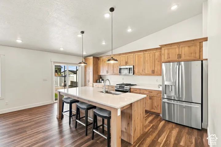 Kitchen featuring a large island with seating, stainless steel appliances, wood-finish cabinetry, recessed lighting, and wood-finish flooring