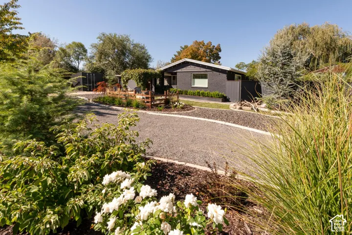 Gravel driveway with integrated landscaping, featuring a dark exterior residence with white window trim and a surrounding variety of mature trees and planted shrubs
