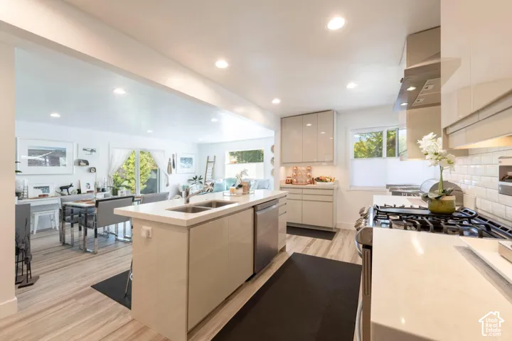 Kitchen featuring a dual-basin sink, stainless steel appliances, and white cabinetry