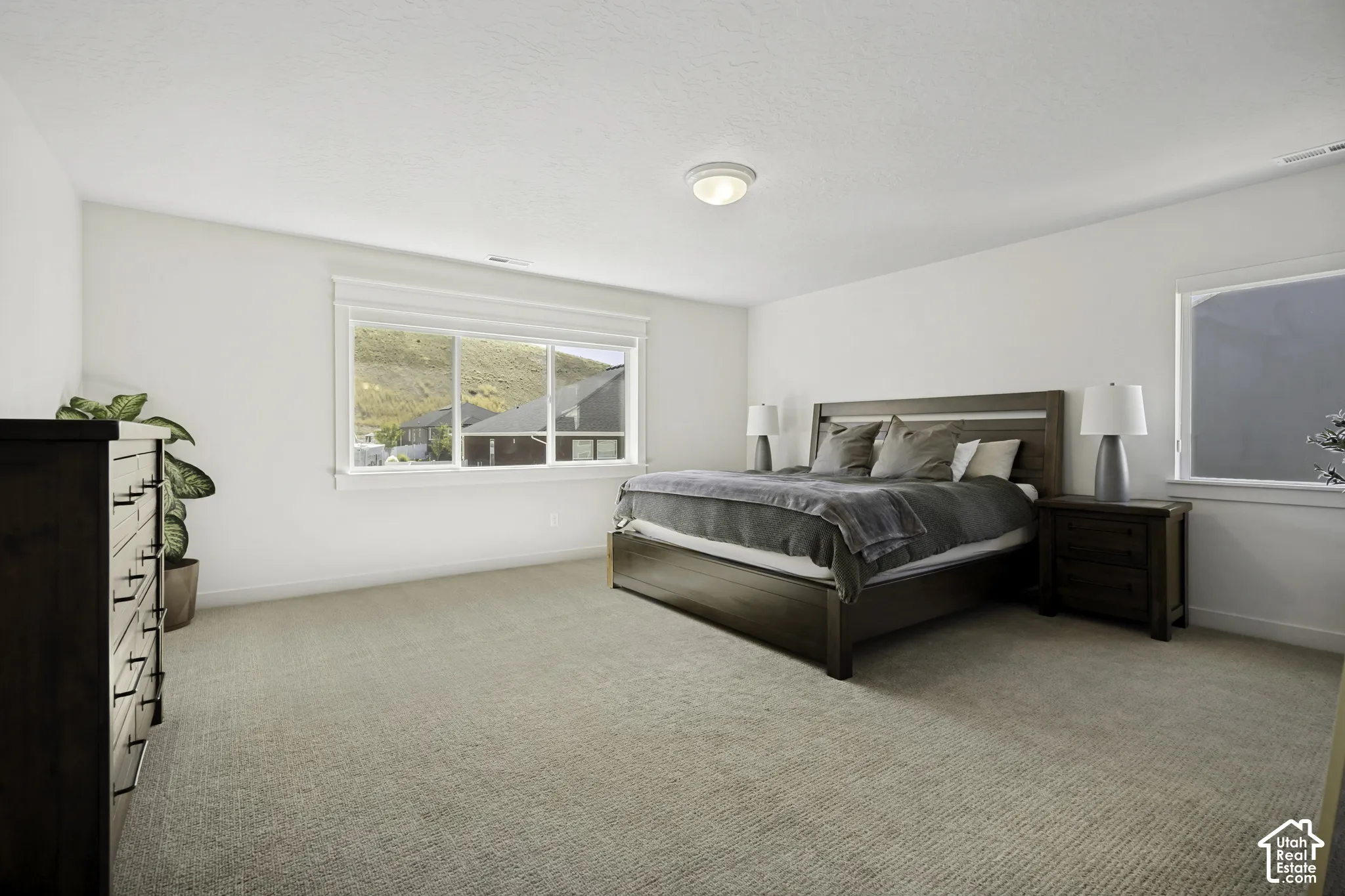 Neutral carpeted flooring with white wall finishes
