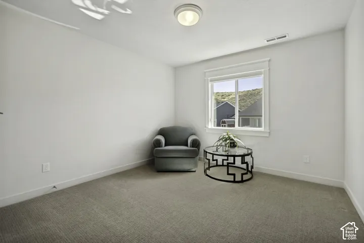 Neutral wall color, carpeted flooring, single window, flush-mount ceiling light