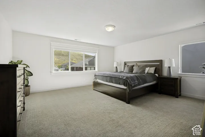Neutral carpeted flooring with white wall finishes