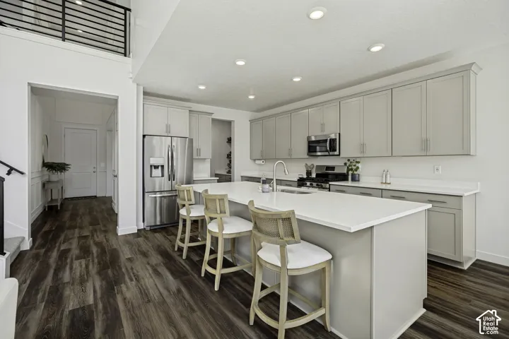 Kitchen featuring a large island with white countertops, light gray cabinetry, stainless steel appliances, and dark wood-finish flooring