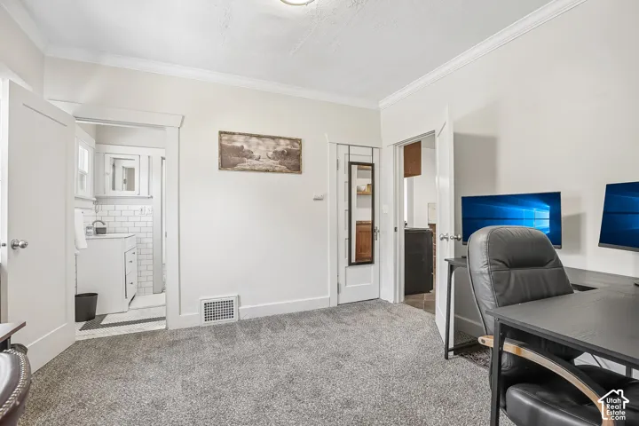Plush gray carpeting throughout, featuring white crown molding and baseboards