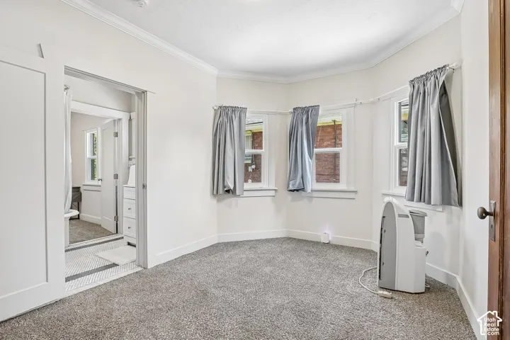Wall-to-wall carpeting and multiple windows with white trim
