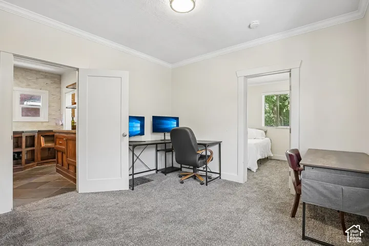 Light gray carpeting throughout, white walls, and crown molding