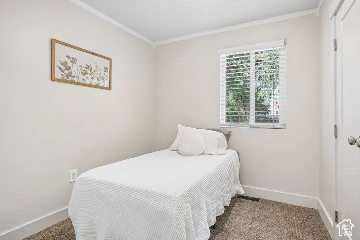 Neutral wall color, window with blinds, carpeted flooring, and a solid door with a round doorknob