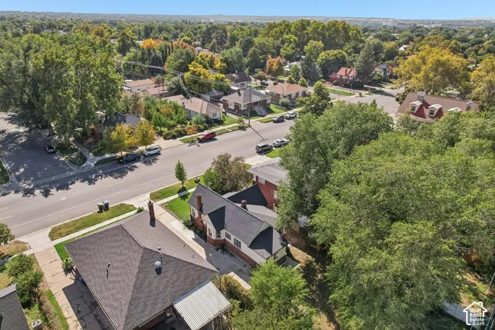 Residential street with established homes and mature trees