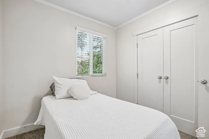 Window with horizontal blinds and an exterior green landscape