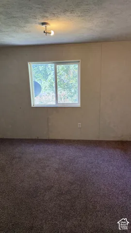 Spacious room with neutral wall finishes, plush carpeting, and dual-pane sliding glass doors framing natural light and outdoor scenery