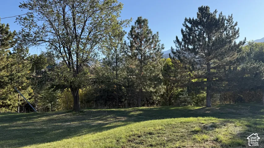 Expansive grassy area with a gentle slope and mature trees