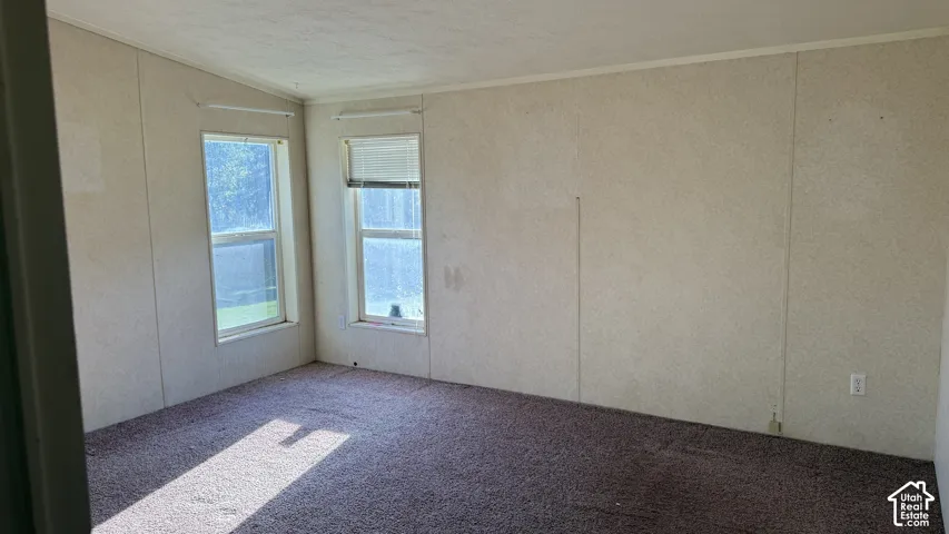 Textured wall panels with white trim, two window openings, and wall-to-wall carpeting