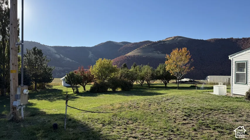 Expansive exterior showcasing a lush lawn, mature trees, and mountainous terrain