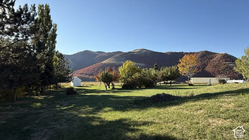 Expansive grassy area with mature trees and a white shed, set against a backdrop of rolling hills