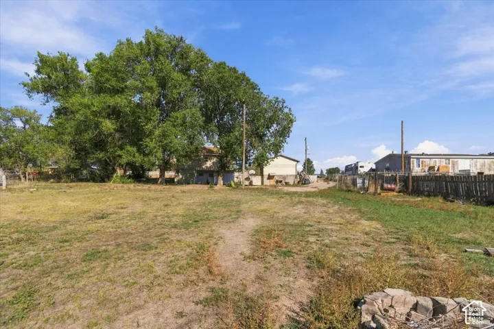 Expansive undeveloped lot with mature trees