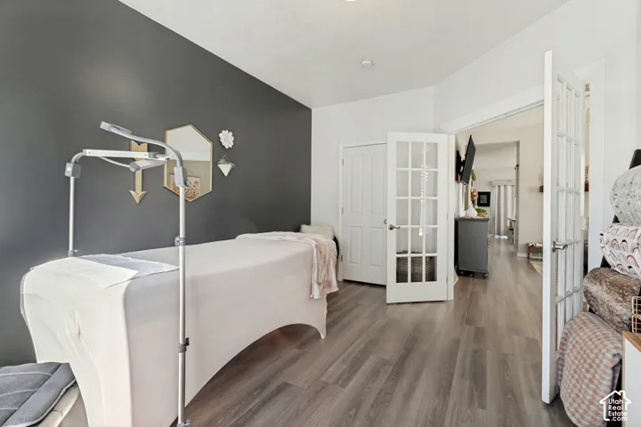 Wood-finish flooring, accent wall, French doors, and ceiling lighting